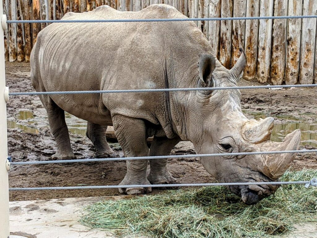 Hogle Zoo