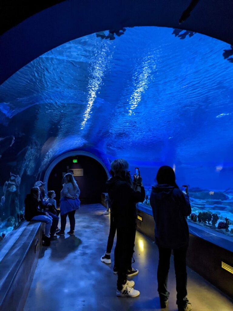 Loveland Living Planet Aquarium