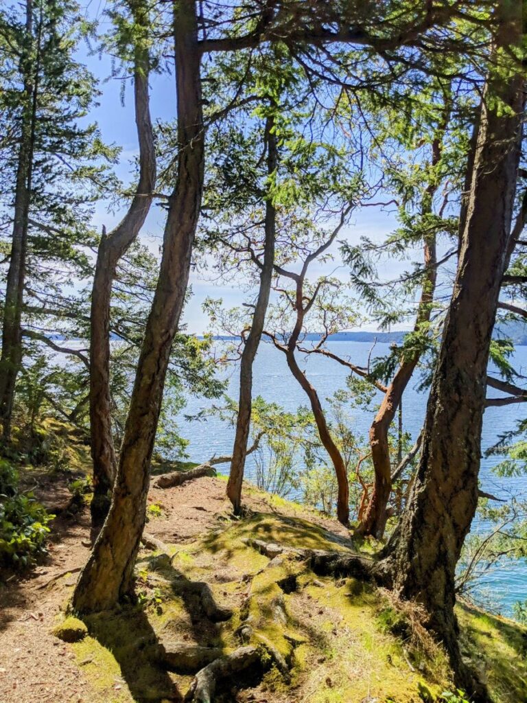 Obstruction Pass State Park on Orcas Island