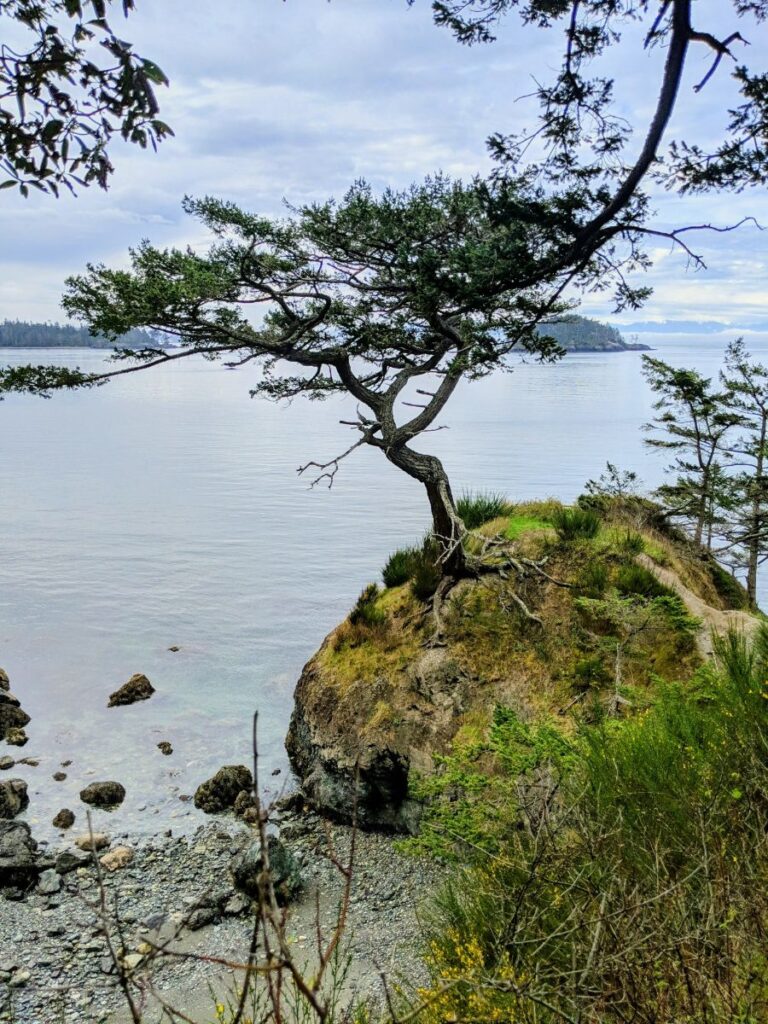 Deception Pass State Park