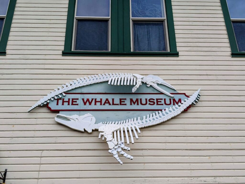 The Whale Museum in Friday Harbor