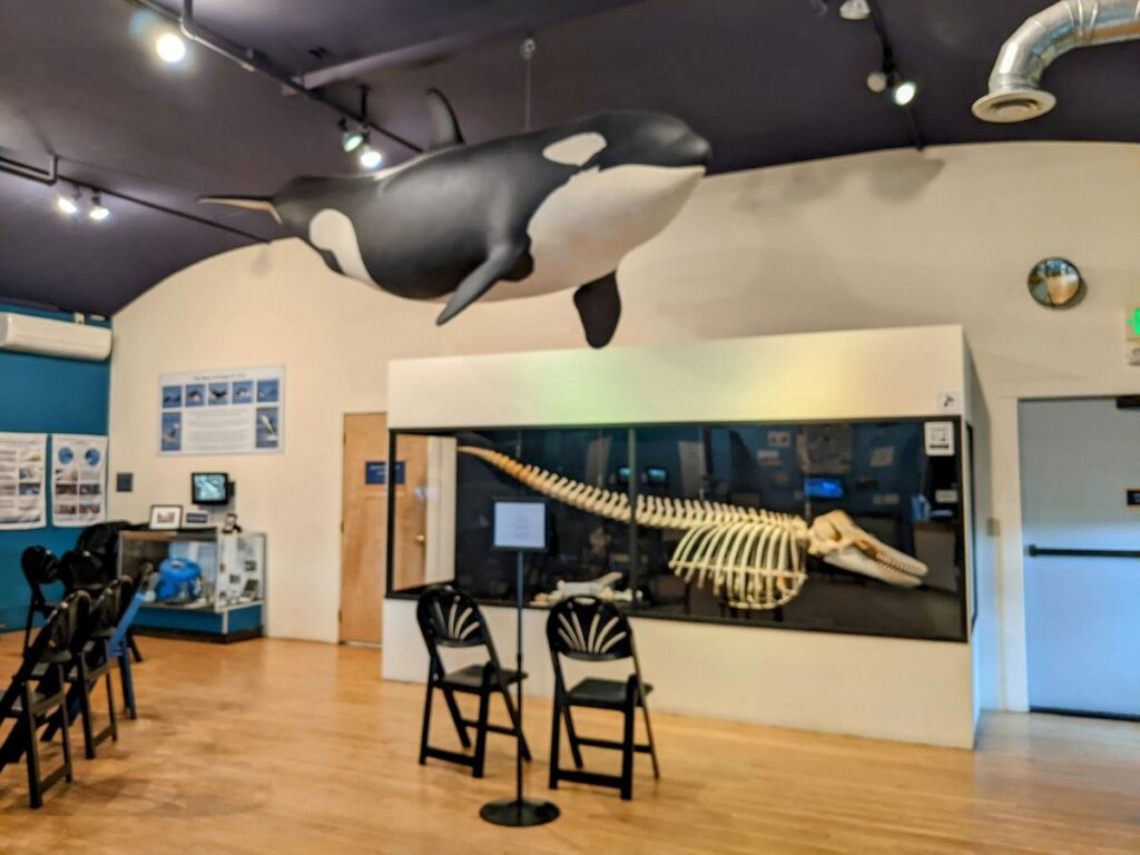 The Whale Museum in Friday Harbor