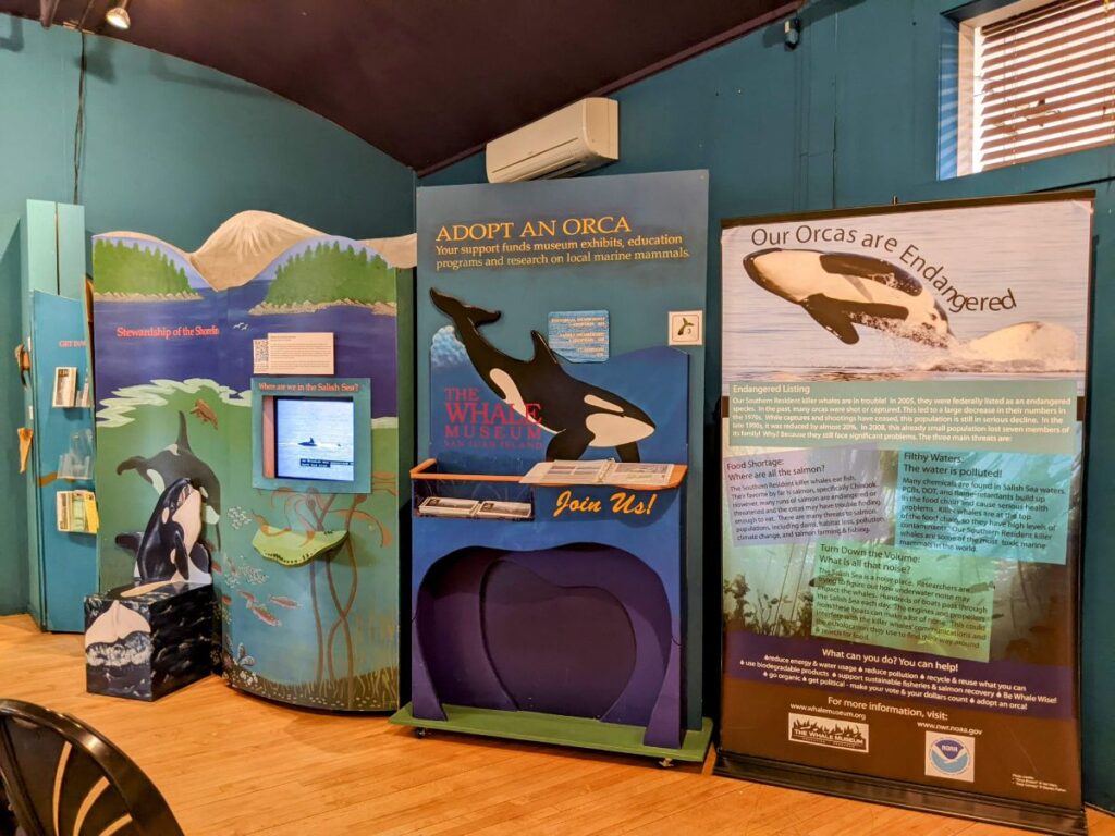 The Whale Museum in Friday Harbor