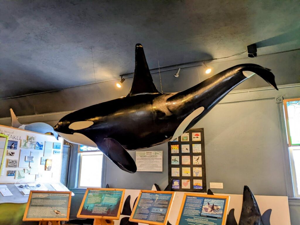 The Whale Museum in Friday Harbor