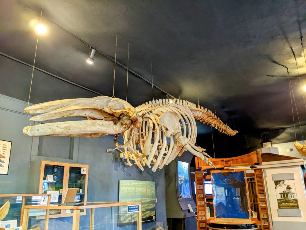 The Whale Museum in Friday Harbor