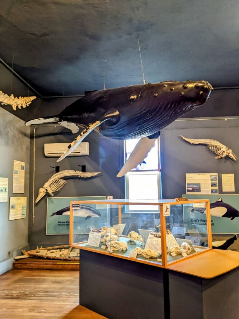 The Whale Museum in Friday Harbor