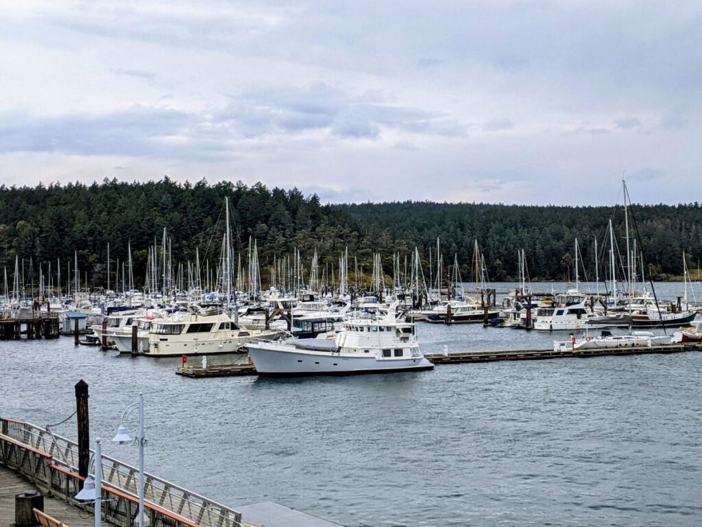 Friday Harbor