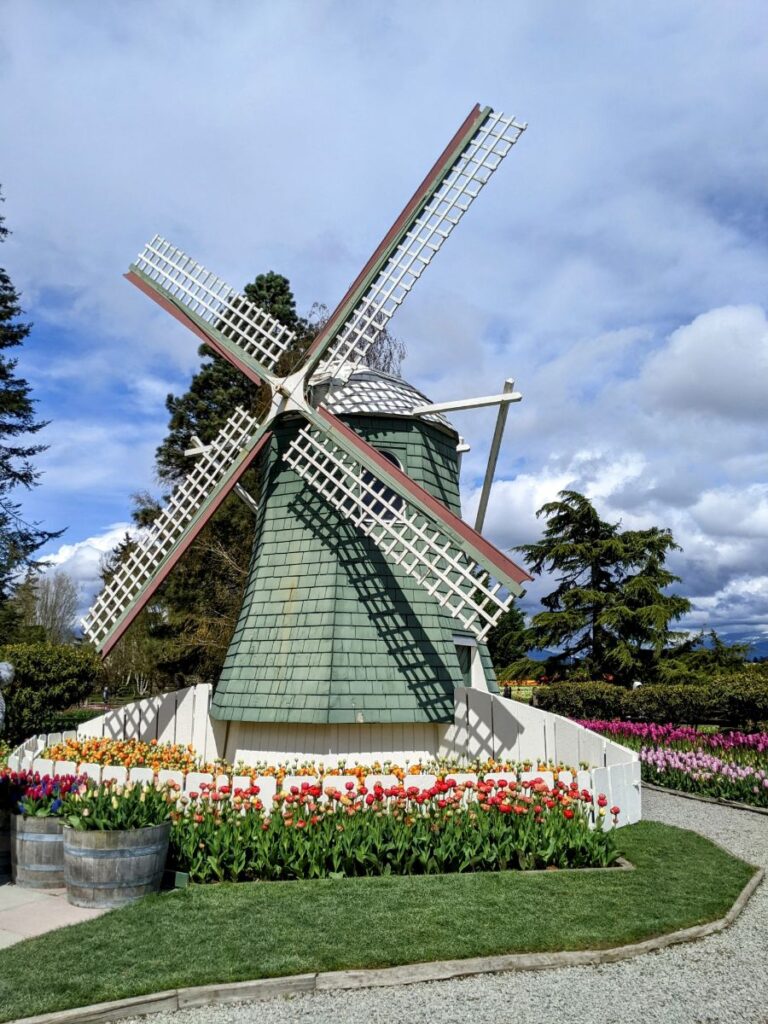 Tulip Festival at Roozengaarde