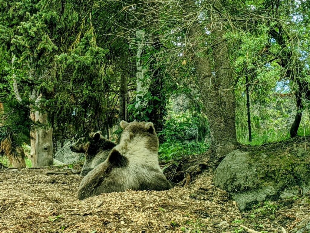 Woodland Park Zoo