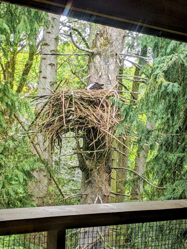 Woodland Park Zoo