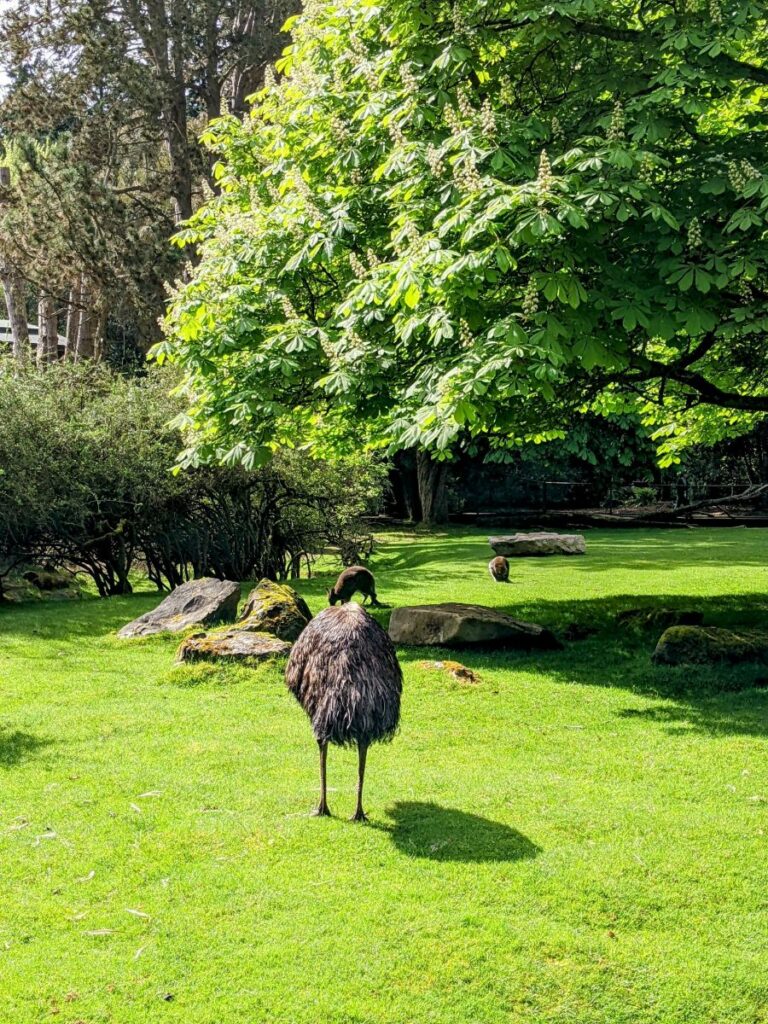 Woodland Park Zoo