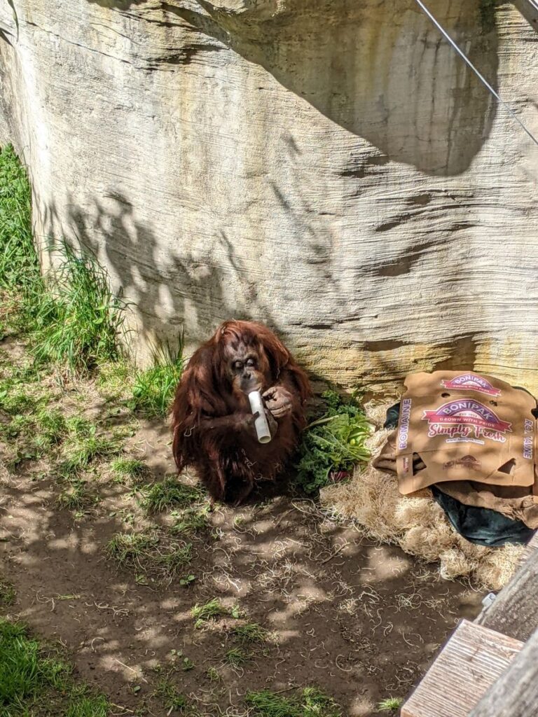 Woodland Park Zoo