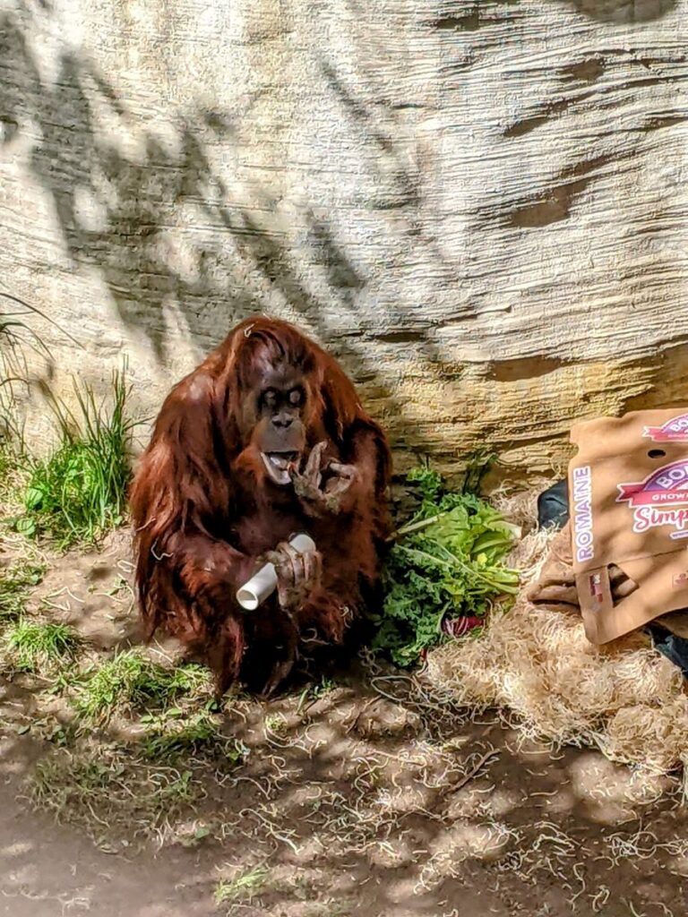 Woodland Park Zoo