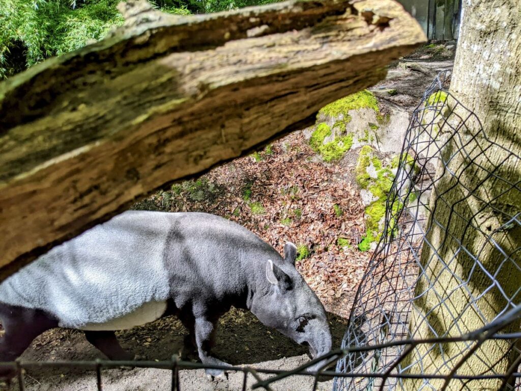 Woodland Park Zoo