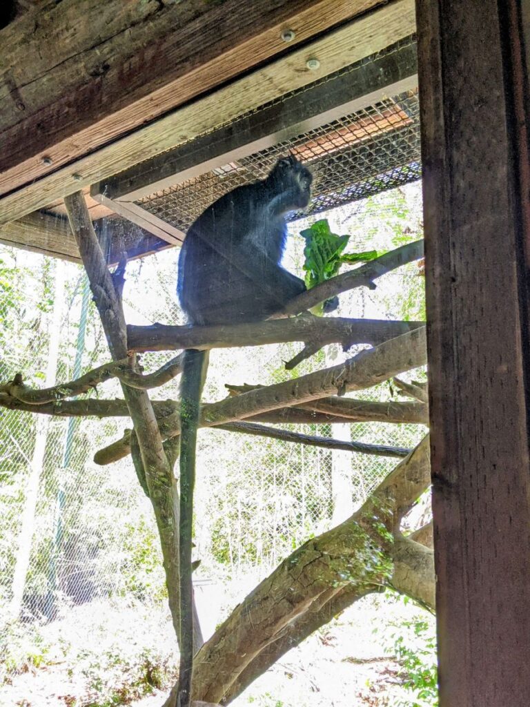 Woodland Park Zoo