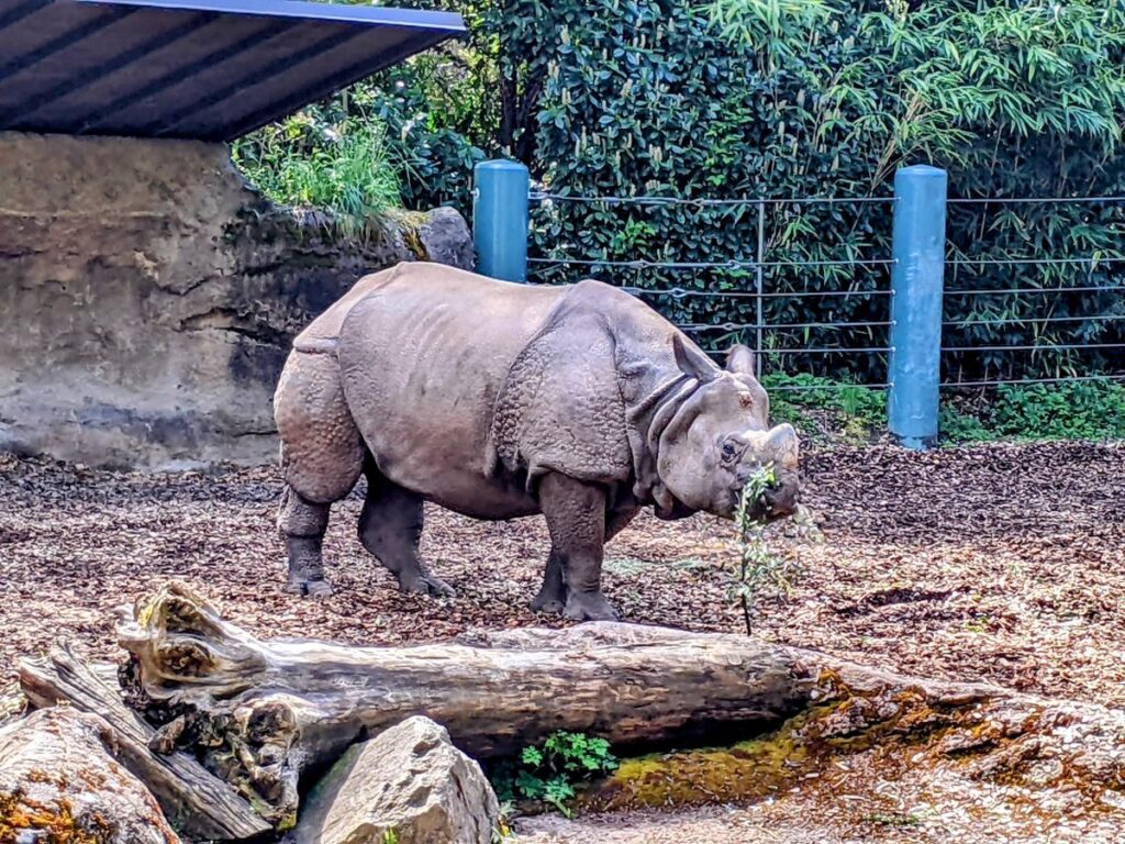 Woodland Park Zoo