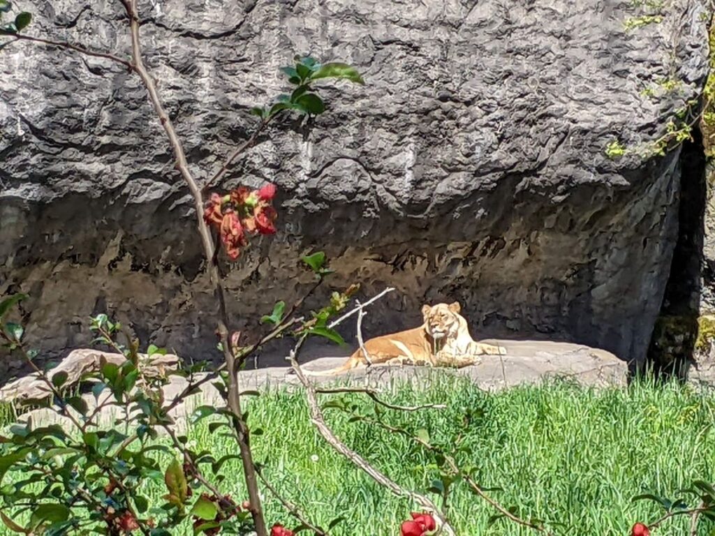 Woodland Park Zoo