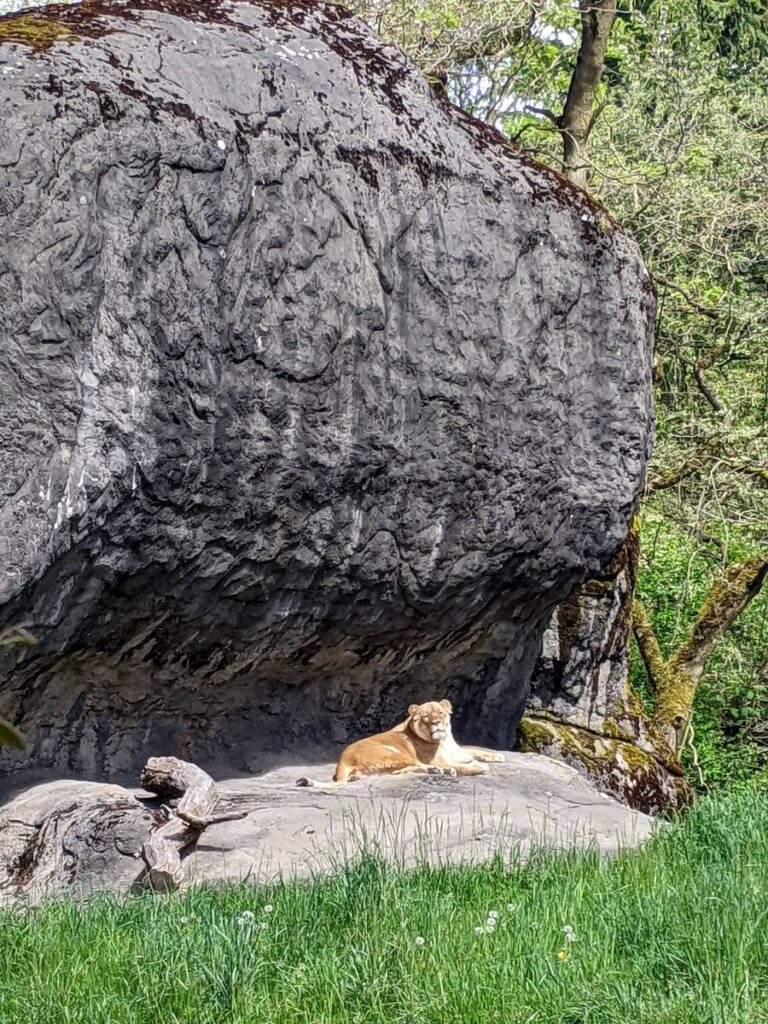 Woodland Park Zoo