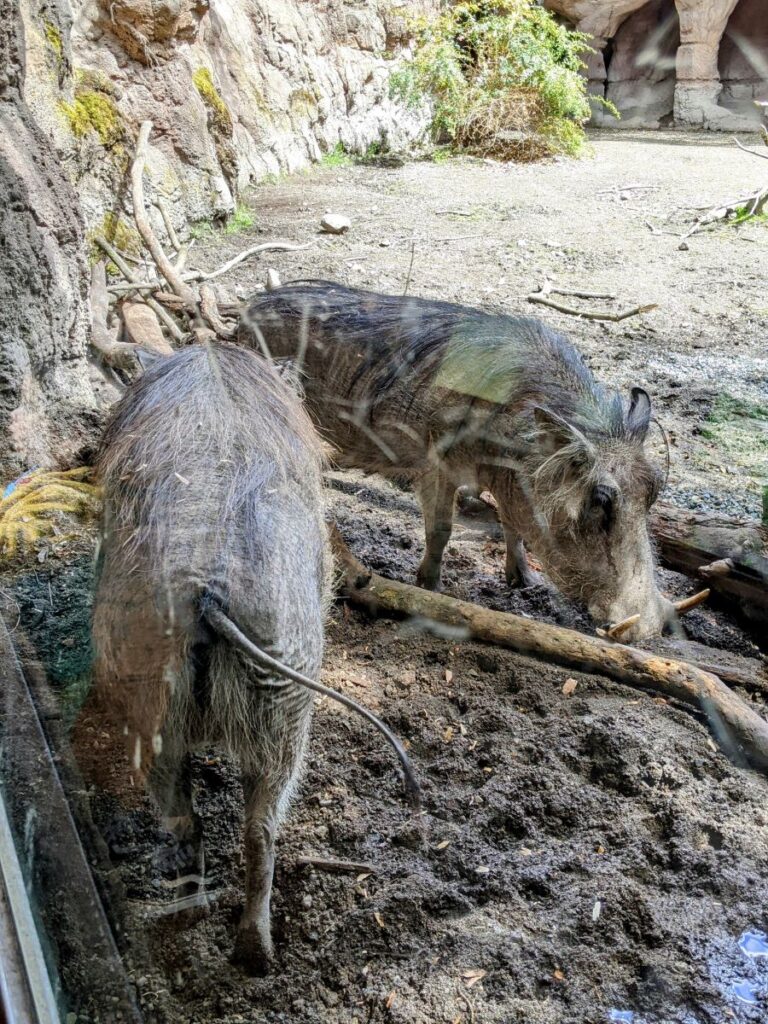 Woodland Park Zoo