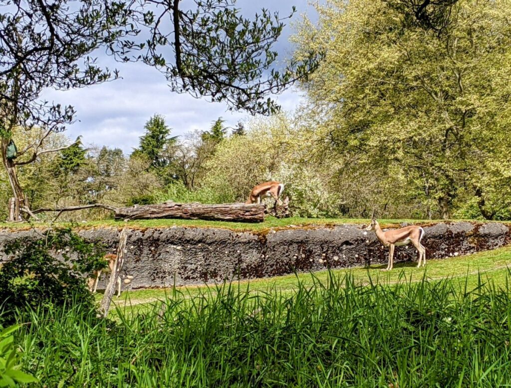 Woodland Park Zoo