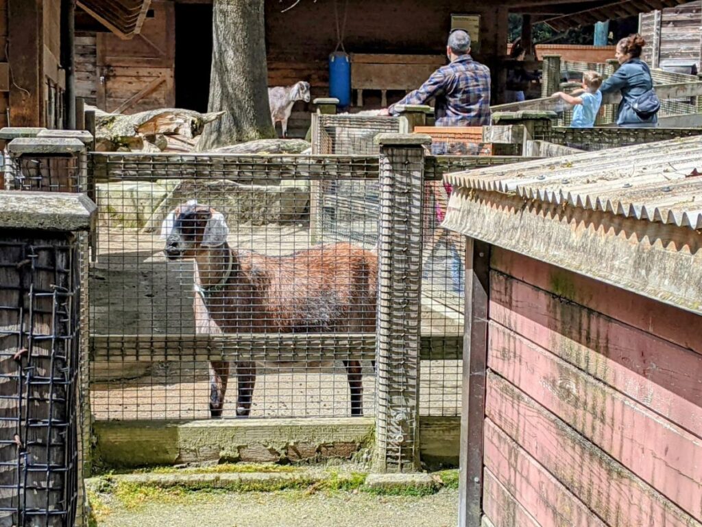 Woodland Park Zoo