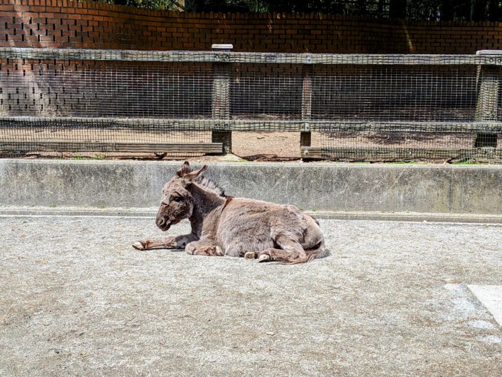 Woodland Park Zoo