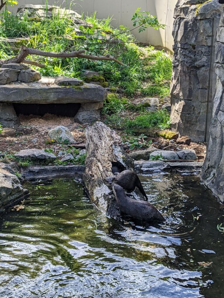 Woodland Park Zoo