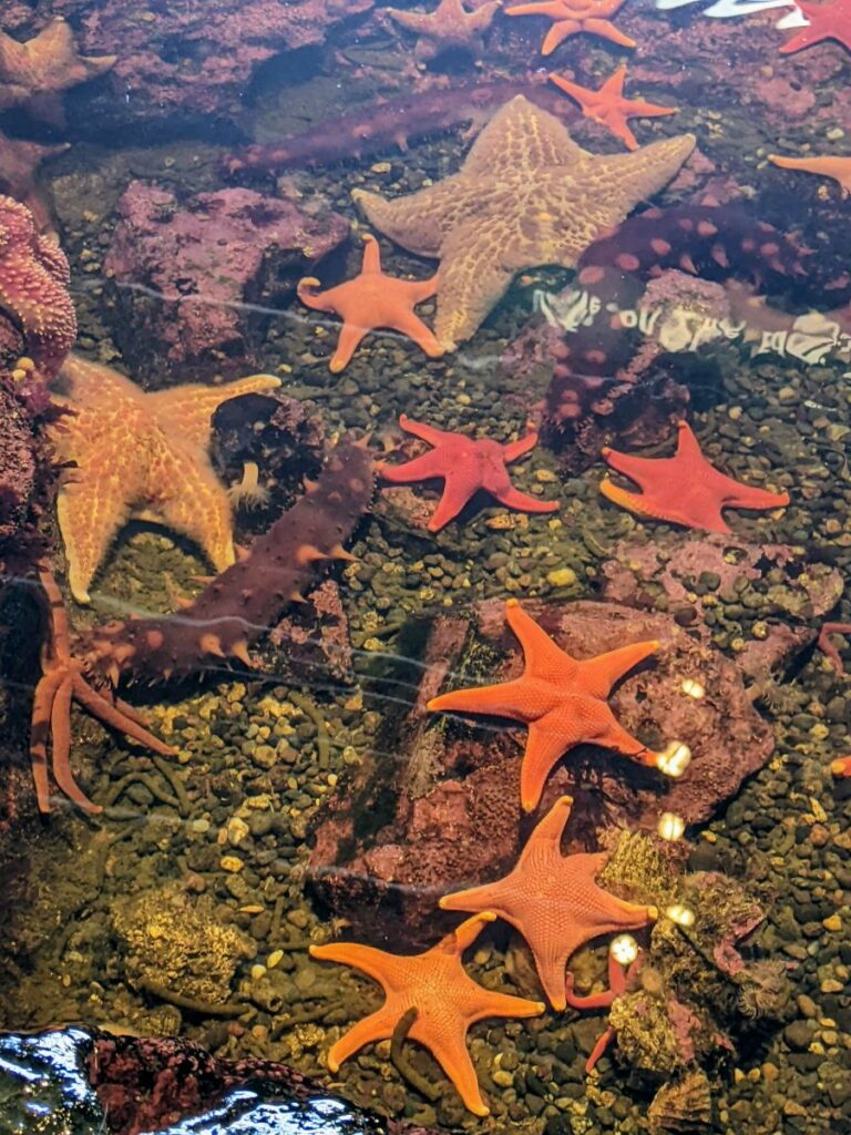 Seattle Aquarium