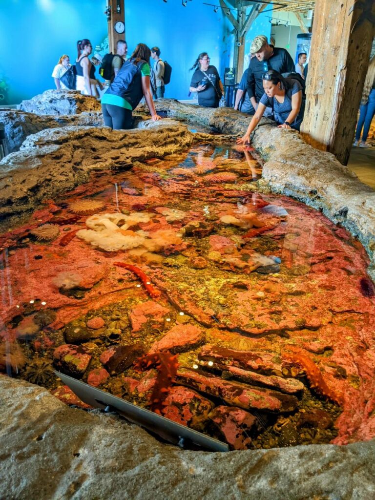 Seattle Aquarium