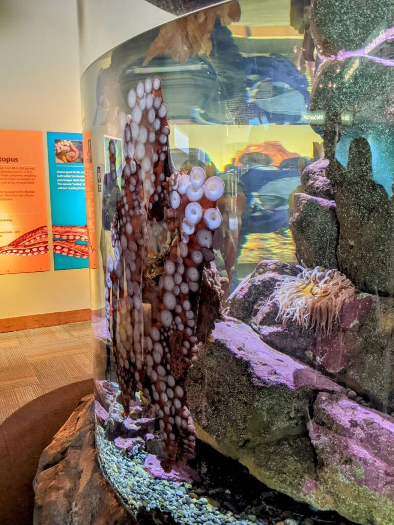 Seattle Aquarium