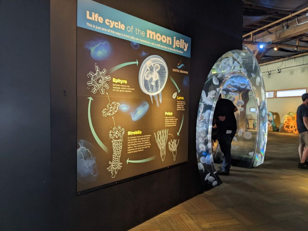 Seattle Aquarium