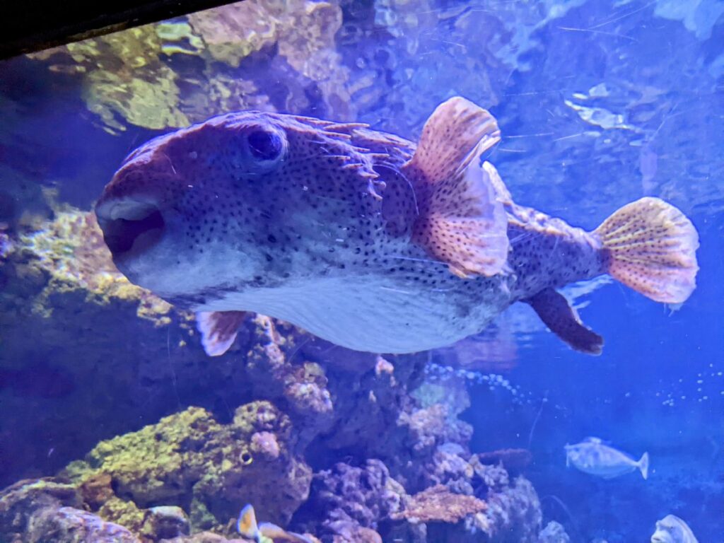 Seattle Aquarium