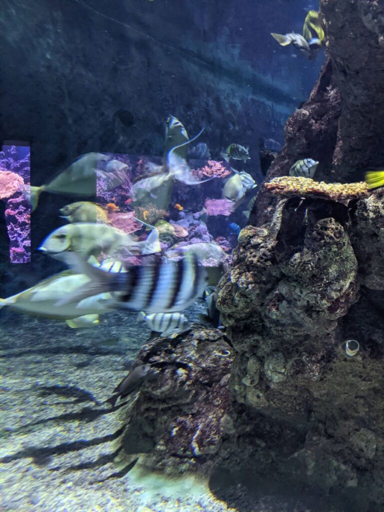 Seattle Aquarium