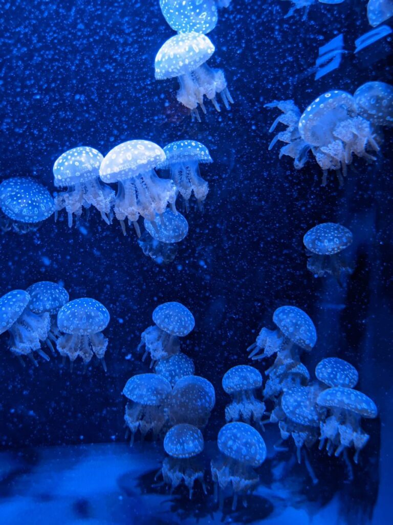 Seattle Aquarium