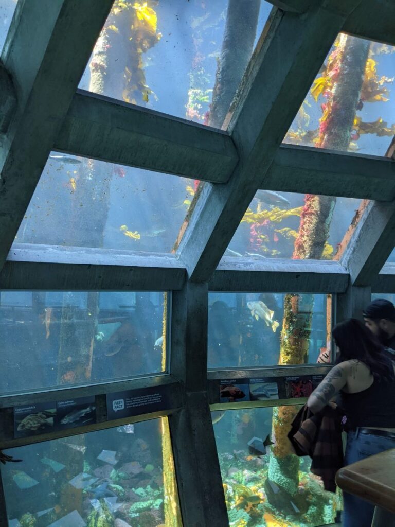 Seattle Aquarium