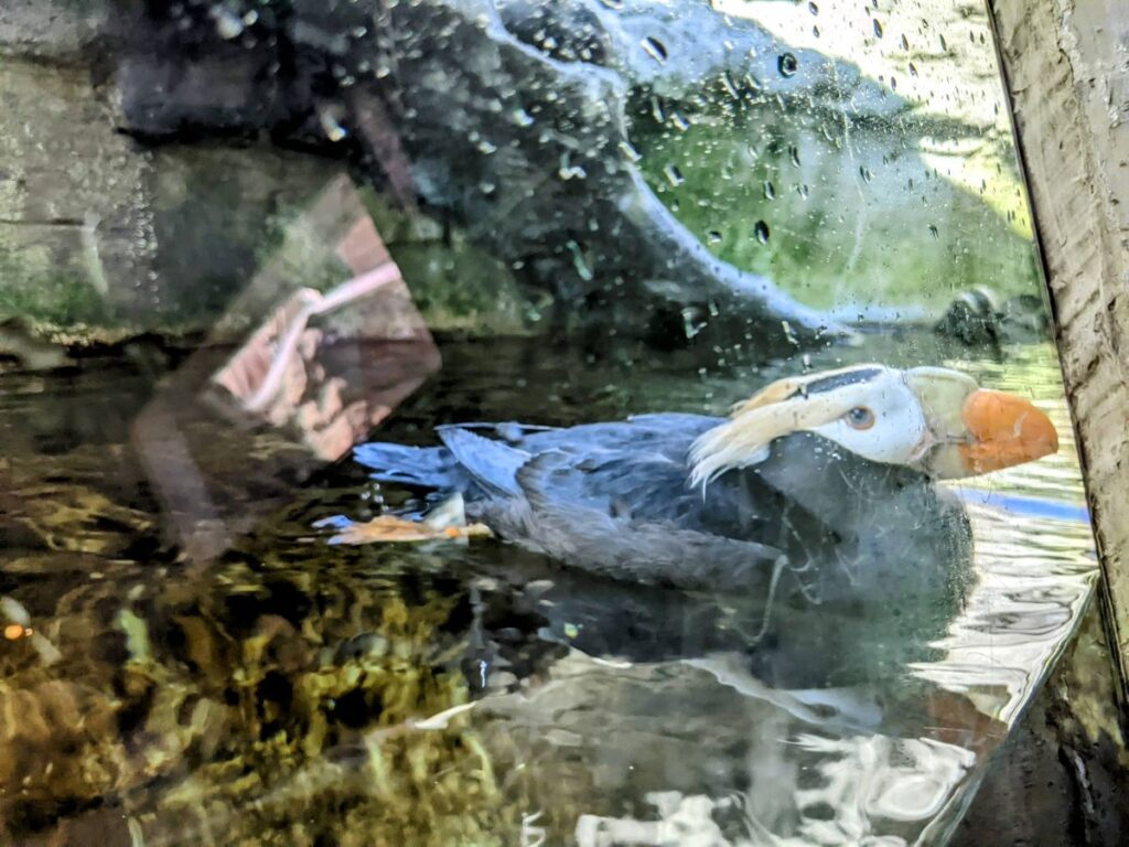 Seattle Aquarium