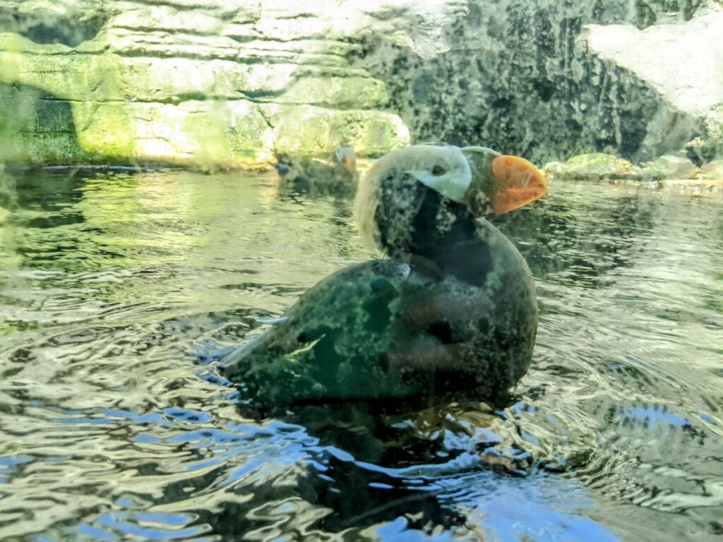 Seattle Aquarium