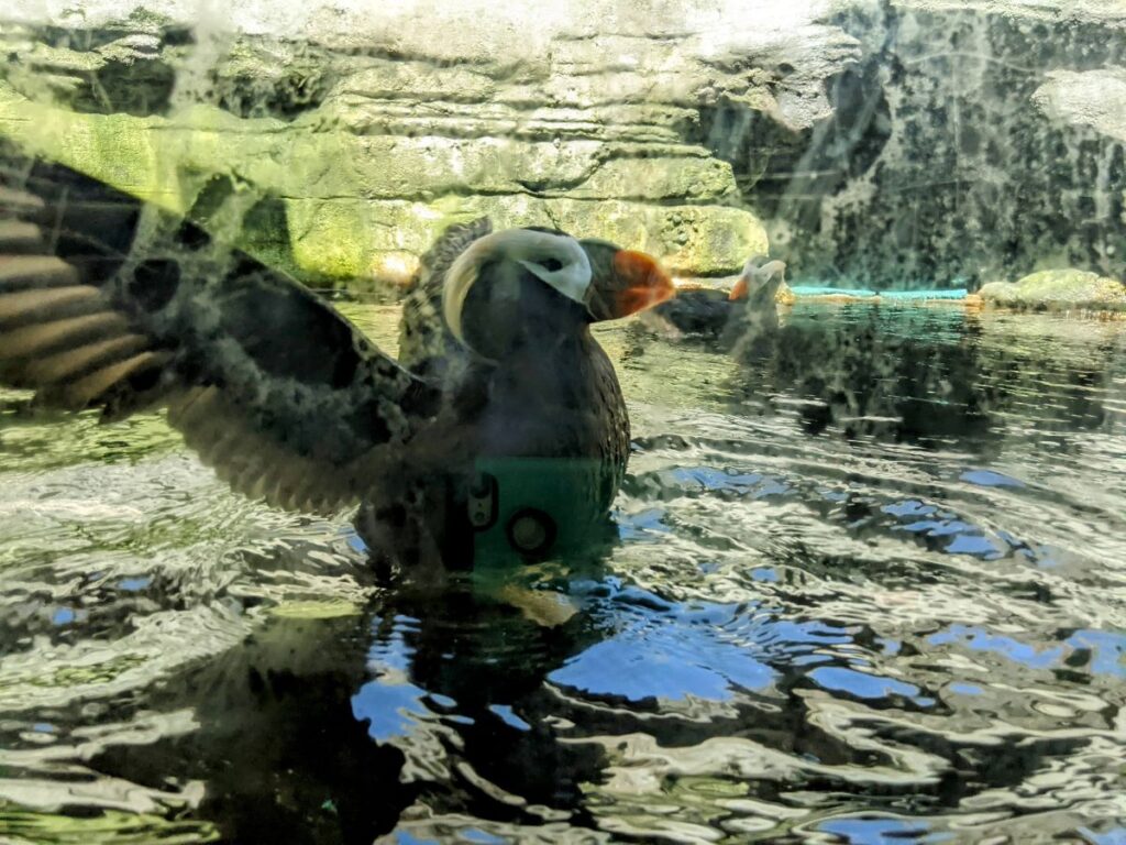 Seattle Aquarium