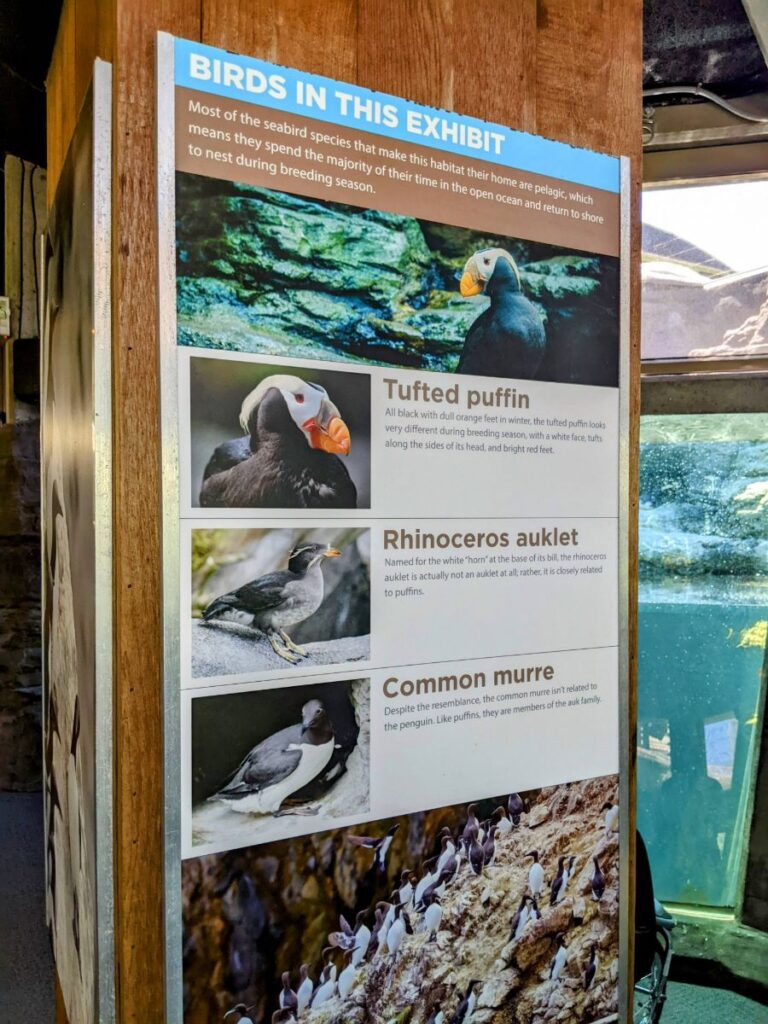 Seattle Aquarium