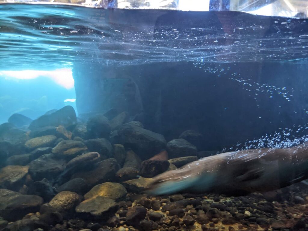 Seattle Aquarium