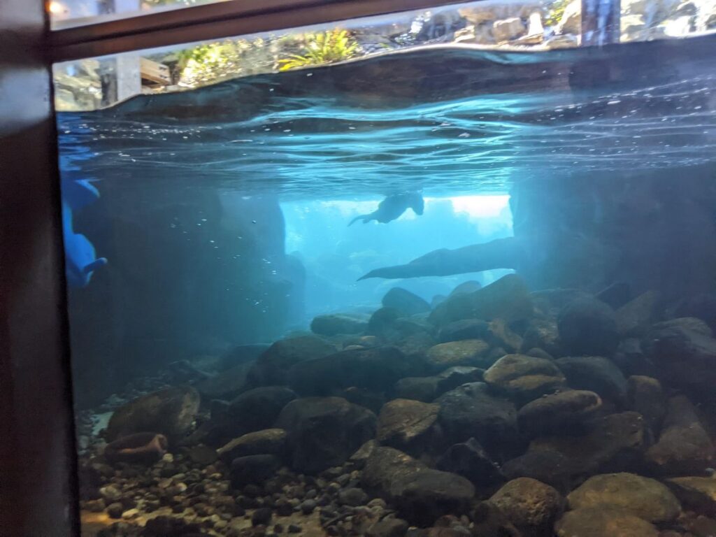 Seattle Aquarium