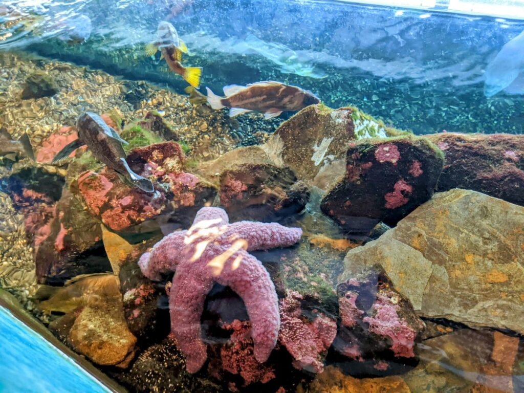 Seattle Aquarium