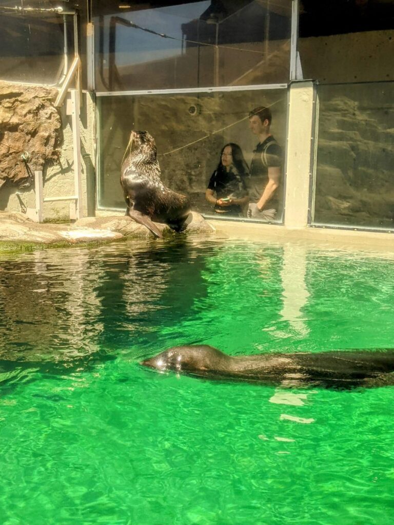 Seattle Aquarium