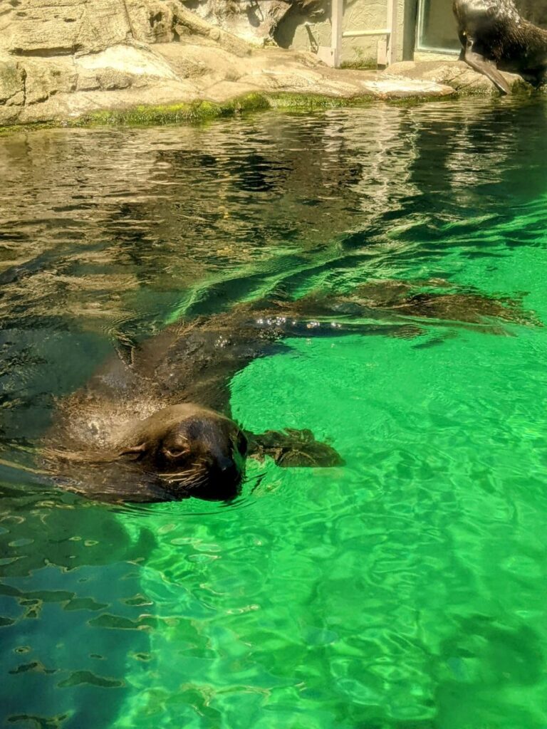 Seattle Aquarium