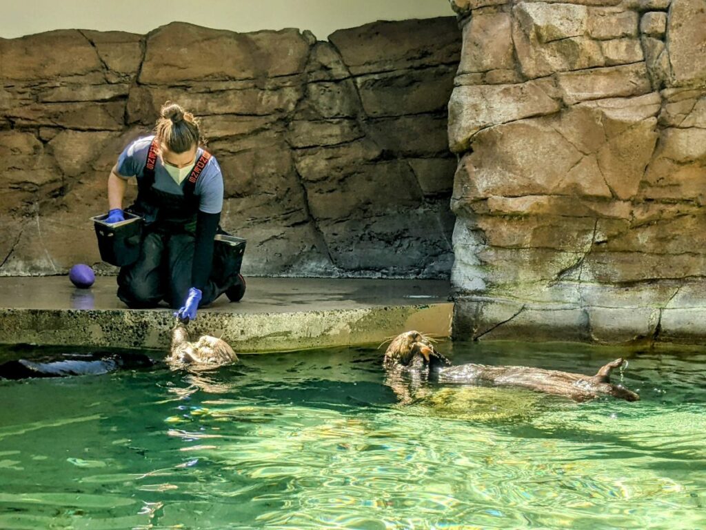 Seattle Aquarium