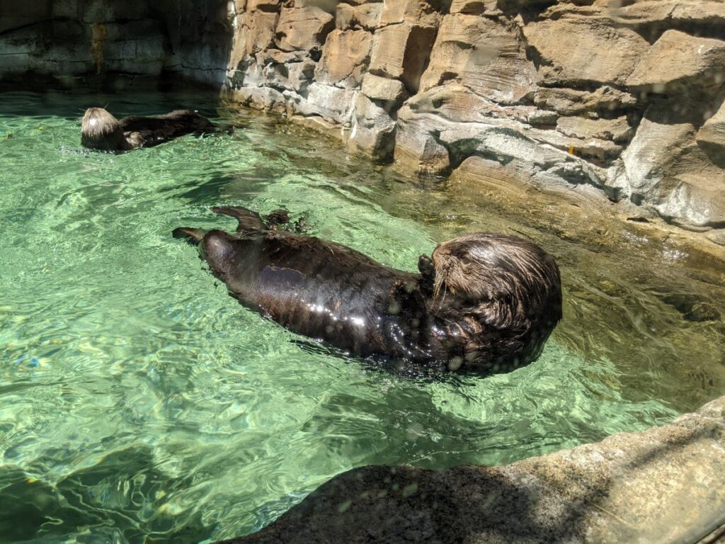 Seattle Aquarium