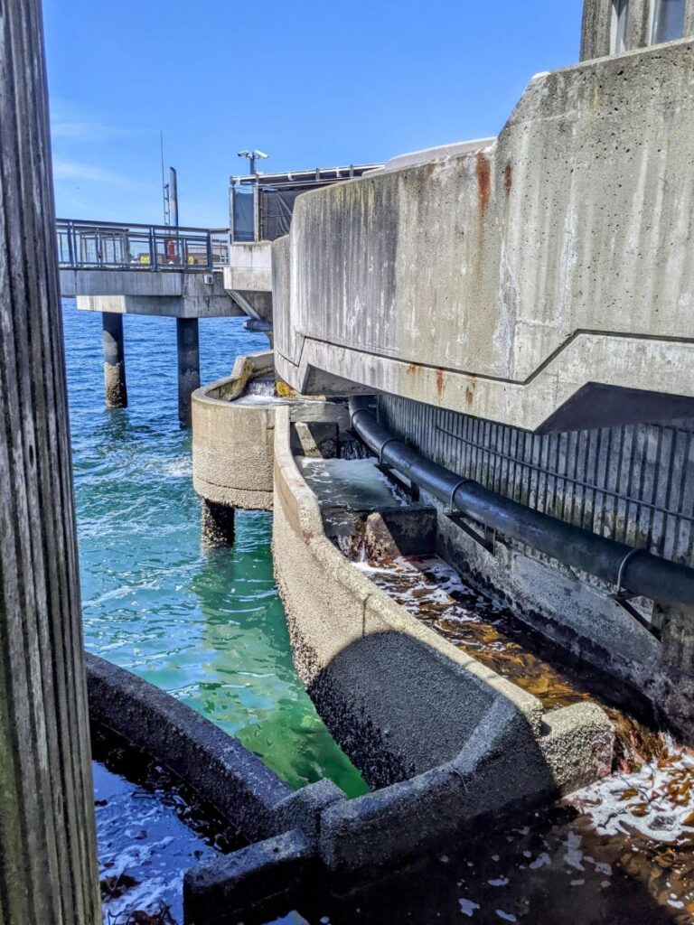 Seattle Aquarium