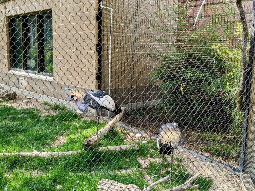 Zoo Boise