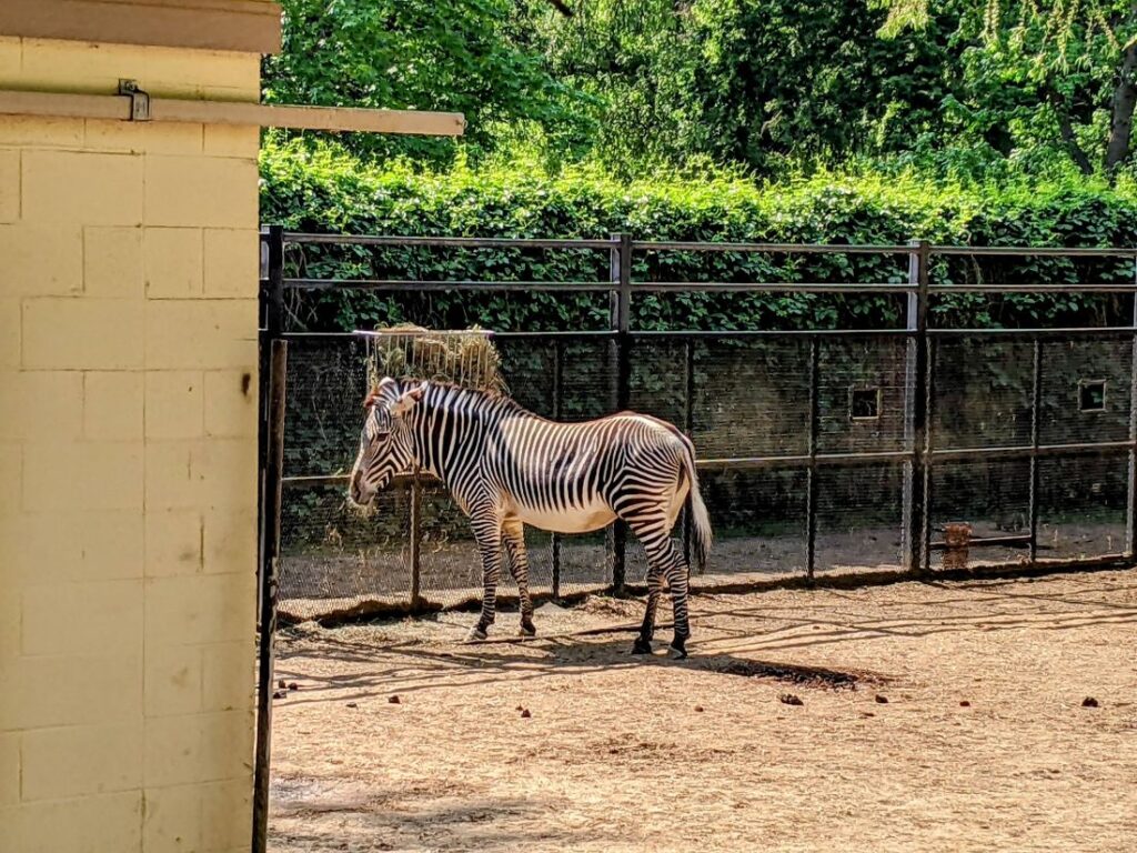 Zoo Boise