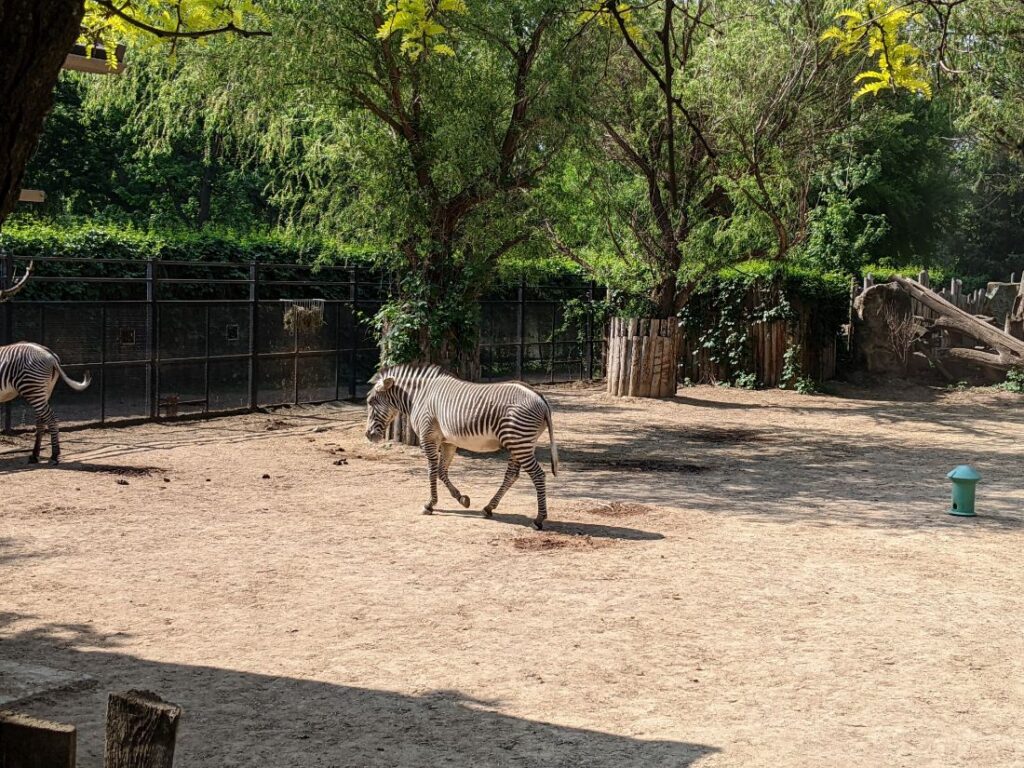 Zoo Boise